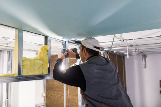 Types of Insulation We Offer in Mascoutah, IL