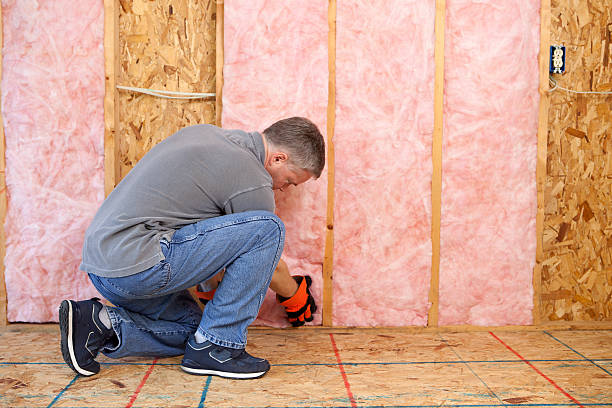 Best Specialized Insulation Services in Mascoutah, IL