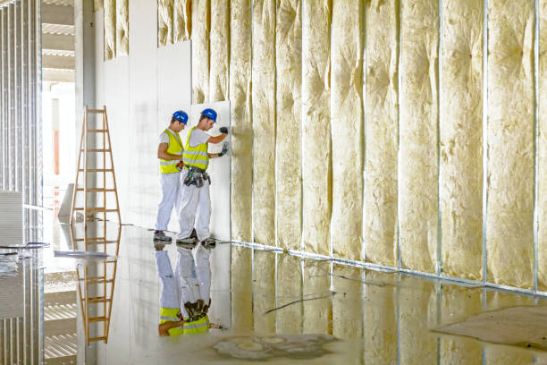 Best Residential Insulation in Mascoutah, IL